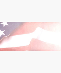 Flag Envelopes No.10, 50/pack, 24 packs/case by Geographics®