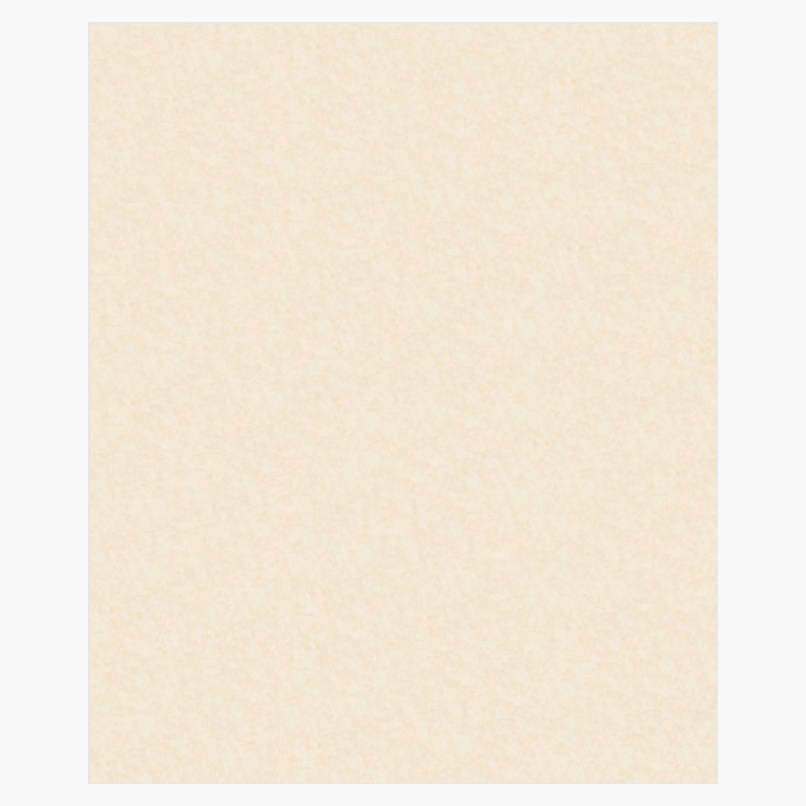 Parchment-Natural-Card-Stock-65-lb-Geographics-47624