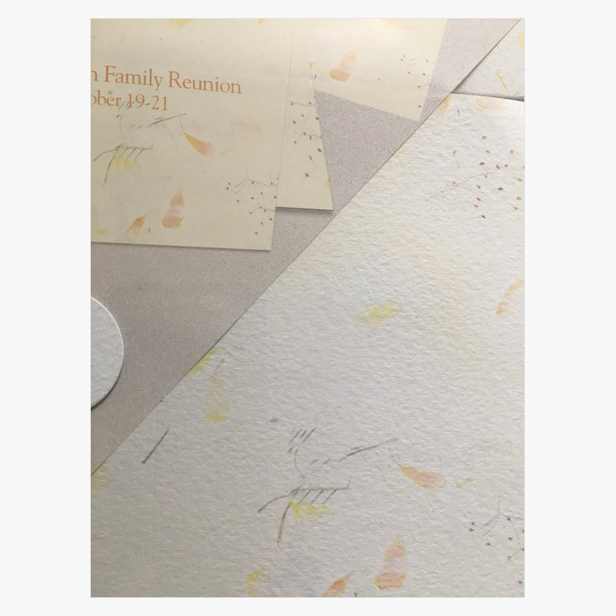 Scattered-Petals-Note-Cards-w-Envelopes-Geographics-45453-2