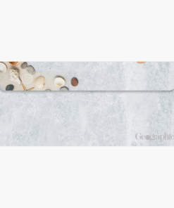 2019 Classic Edition