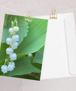 Greeting cards, Lily of the Valley